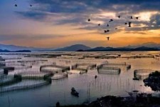 简阳伴游中国网景点丰富(旅游网介绍)