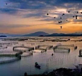 简阳伴游中国网景点丰富(旅游网介绍)