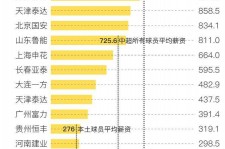 简阳关于伴游小丽中国足球的信息