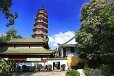 简阳广州自由行(广州 自由行)