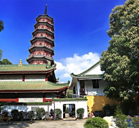 简阳广州自由行(广州 自由行)