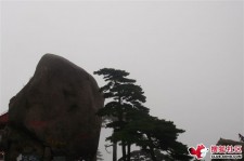 简阳上海伴游私家陪游雇用女模(上海伴游私家陪游雇用女模特)