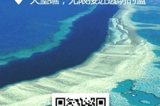 简阳中国250家旅行社结伴游新西兰(新西兰当地旅行社)