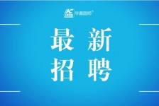 简阳镇江伴游雇用驾驶员(镇江驾驶员雇用苍生网)
