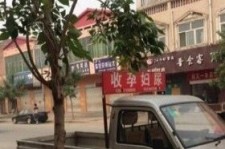 简阳上海伴游 用伴游造句大全(5