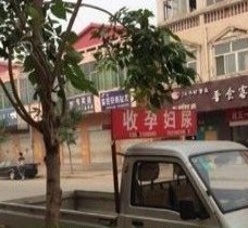 简阳上海伴游 用伴游造句大全(5