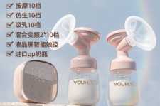 简阳奶模(奶模型)