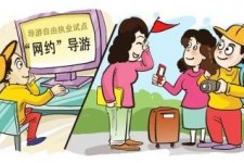 简阳伴游是什么