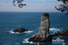 简阳旅游全攻略(上海旅游全攻略)