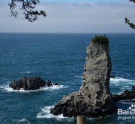 简阳旅游全攻略(上海旅游全攻略)