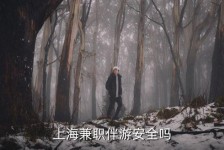 简阳上海私人伴游 上海伴游，上海兼职伴游安全吗