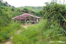 简阳北海伴游兼职雇用信息(北海伴游兼职雇用信息大全)