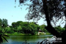 简阳西湖旅游攻略(上海到杭州西湖旅游攻略)
