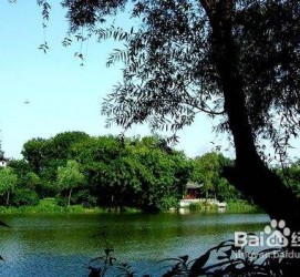 简阳西湖旅游攻略(上海到杭州西湖旅游攻略)