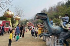 简阳中国伴游带你打卡网红南山竹海(南山竹海网上预约)