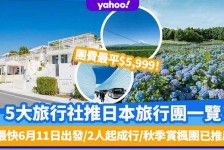 简阳旅游价格(旅游价格机制)