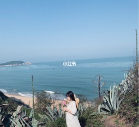 简阳厦门周边游(厦门及周边旅游攻略)