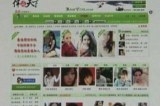 简阳home伴游中国(zarahome乳胶枕)