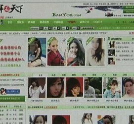 简阳home伴游中国(zarahome乳胶枕)