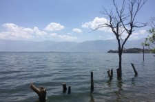 简阳洱海旅游攻略(洱海旅游攻略自由行)