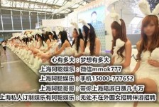 简阳雇用旅游男伴游(北京商务酒店雇用伴游)