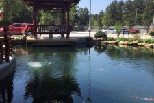 简阳久久伴游**(久久游代理)