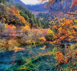 简阳四川旅游攻略(四川旅游攻略十五日游)