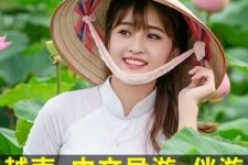 简阳日本关东伴游中国(日本关西旅行)