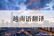 简阳越南翻译兼职伴游(在越南怎样找私人翻译)