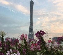 简阳广州旅游攻略(杭州到广州旅游攻略)