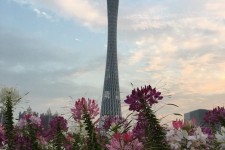 简阳广州旅游攻略(杭州到广州旅游攻略)