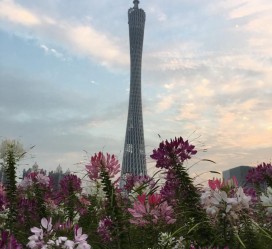 简阳广州旅游攻略(杭州到广州旅游攻略)