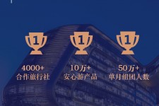 简阳上海私人伴游 ​ “小而美”的新时代：2020年国内新跟团消费报告