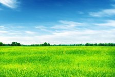 简阳上海伴游 上海模特伴游微信号的交友宣言