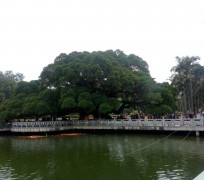简阳福州旅游攻略(福州旅游攻略二日游)