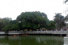 简阳福州旅游攻略(福州旅游攻略二日游)