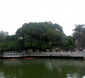 简阳福州旅游攻略(福州旅游攻略二日游)