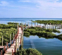 简阳旅游哪里好玩(云南旅游哪里好玩)