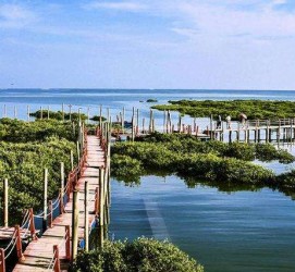 简阳旅游哪里好玩(云南旅游哪里好玩)