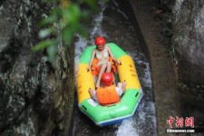 简阳伴游中国三亚(三亚结伴旅游网)
