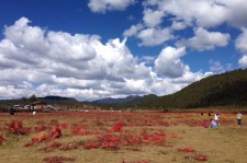 简阳旅游去处(暑期最好的旅游去处)