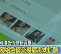 简阳上海伴游 伴游女郎白天陪玩晚上陪睡 网络跑火日薪过万(图)