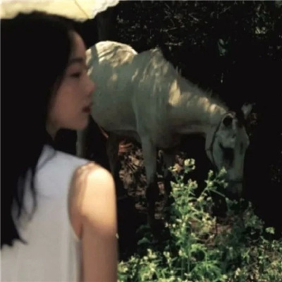 简阳私家伴游让你拥有一次完美的旅游体验