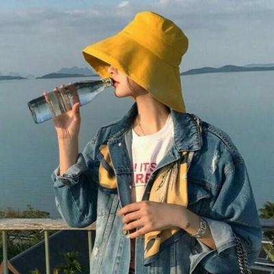 简阳让伴游为你导游，尽享玩耍的乐趣